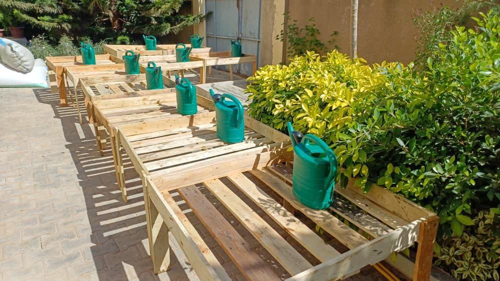 Équipements de culture et plants du programme PROVES
